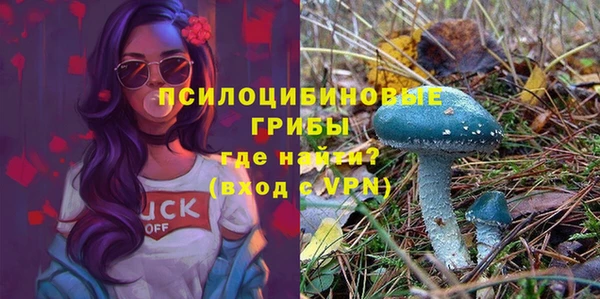 mdpv Липки