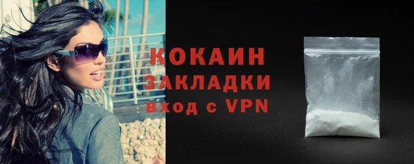 твердый Магас