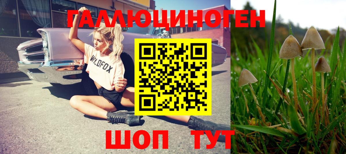 Галлюциногенные грибы мухоморы Краснокамск