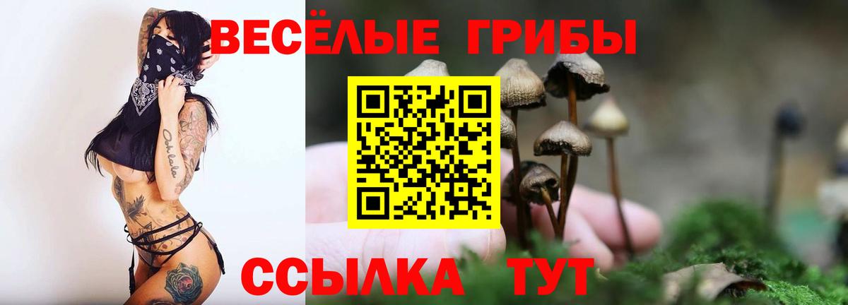 Галлюциногенные грибы GOLDEN TEACHER  Вход с VPN  Краснокамск 